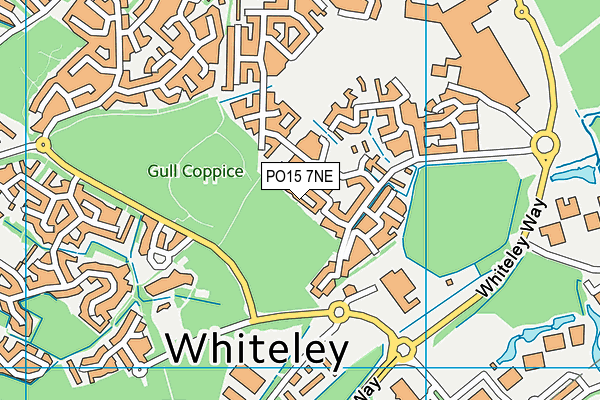 PO15 7NE map - OS VectorMap District (Ordnance Survey)