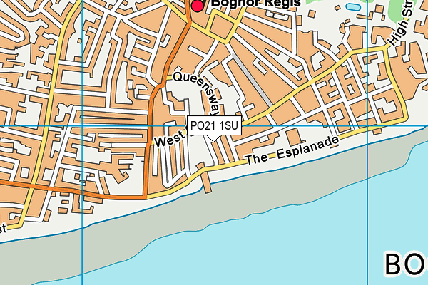 PO21 1SU map - OS VectorMap District (Ordnance Survey) PO21 1SU map - OS VectorMap District (Ordnance Survey)