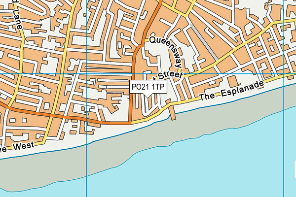 PO21 1TP map - OS VectorMap District (Ordnance Survey) PO21 1TP map - OS VectorMap District (Ordnance Survey)