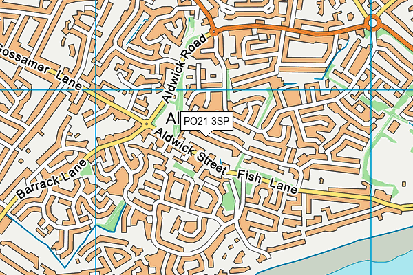 PO21 3SP map - OS VectorMap District (Ordnance Survey) PO21 3SP map - OS VectorMap District (Ordnance Survey)