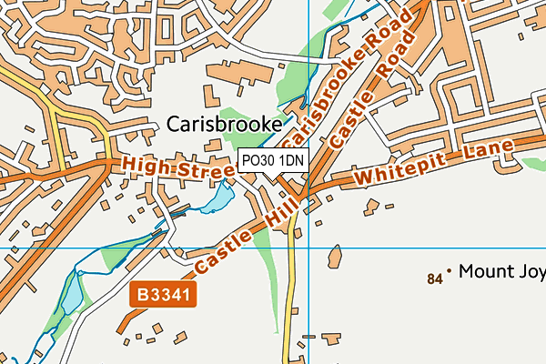 PO30 1DN map - OS VectorMap District (Ordnance Survey)