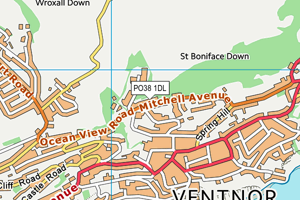 PO38 1DL map - OS VectorMap District (Ordnance Survey) PO38 1DL map - OS VectorMap District (Ordnance Survey)