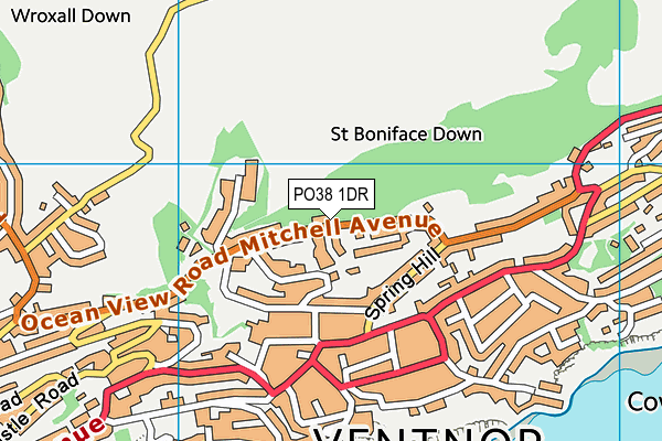 PO38 1DR map - OS VectorMap District (Ordnance Survey) PO38 1DR map - OS VectorMap District (Ordnance Survey)
