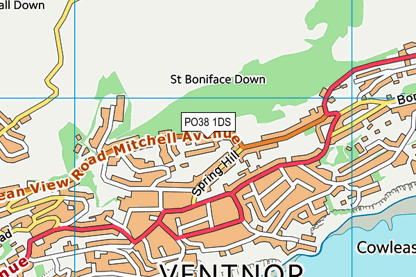 PO38 1DS map - OS VectorMap District (Ordnance Survey)