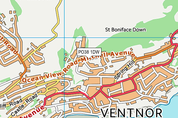 PO38 1DW map - OS VectorMap District (Ordnance Survey) PO38 1DW map - OS VectorMap District (Ordnance Survey)