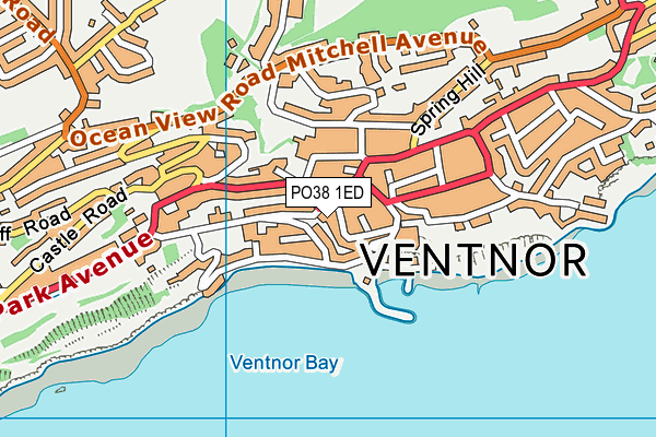 PO38 1ED map - OS VectorMap District (Ordnance Survey) PO38 1ED map - OS VectorMap District (Ordnance Survey)