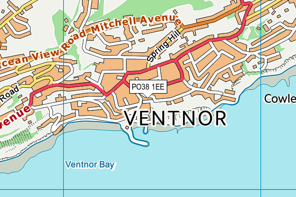 PO38 1EE map - OS VectorMap District (Ordnance Survey) PO38 1EE map - OS VectorMap District (Ordnance Survey)