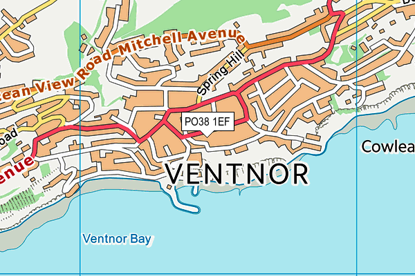 PO38 1EF map - OS VectorMap District (Ordnance Survey) PO38 1EF map - OS VectorMap District (Ordnance Survey)