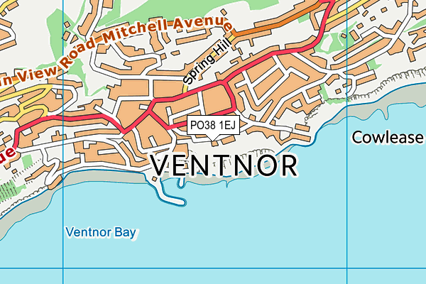 PO38 1EJ map - OS VectorMap District (Ordnance Survey)