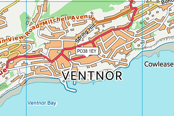 PO38 1EY map - OS VectorMap District (Ordnance Survey) PO38 1EY map - OS VectorMap District (Ordnance Survey)