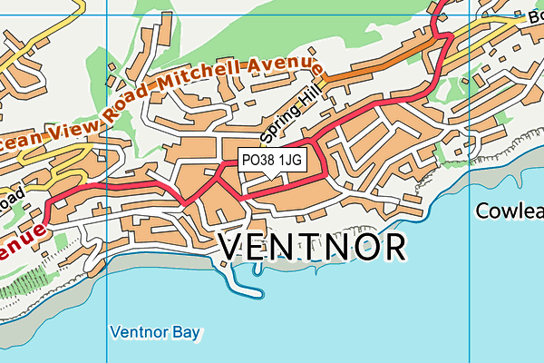 PO38 1JG map - OS VectorMap District (Ordnance Survey) PO38 1JG map - OS VectorMap District (Ordnance Survey)