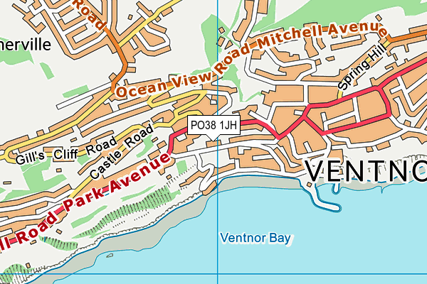 PO38 1JH map - OS VectorMap District (Ordnance Survey) PO38 1JH map - OS VectorMap District (Ordnance Survey)