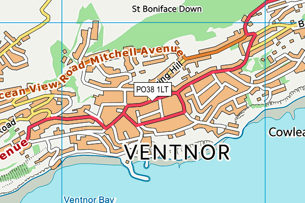 PO38 1LT map - OS VectorMap District (Ordnance Survey) PO38 1LT map - OS VectorMap District (Ordnance Survey)