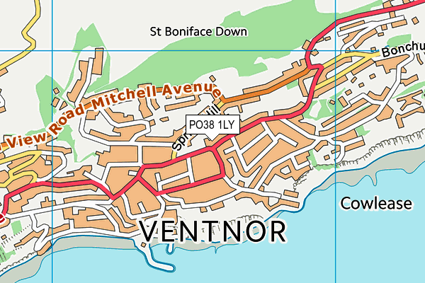 PO38 1LY map - OS VectorMap District (Ordnance Survey) PO38 1LY map - OS VectorMap District (Ordnance Survey)
