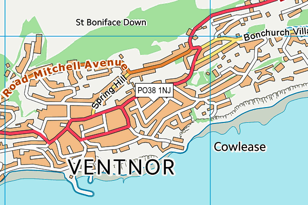 PO38 1NJ map - OS VectorMap District (Ordnance Survey) PO38 1NJ map - OS VectorMap District (Ordnance Survey)