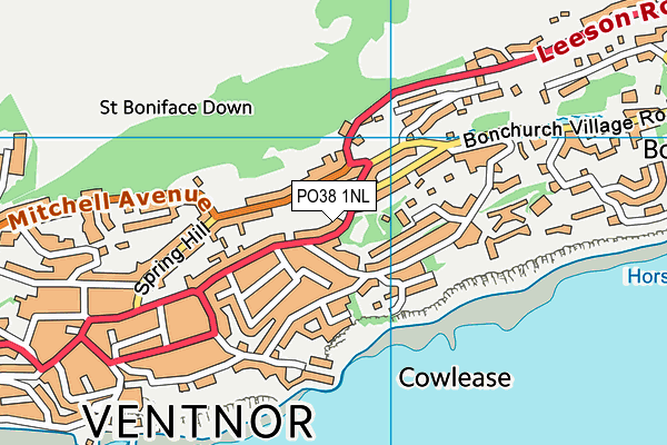 PO38 1NL map - OS VectorMap District (Ordnance Survey) PO38 1NL map - OS VectorMap District (Ordnance Survey)