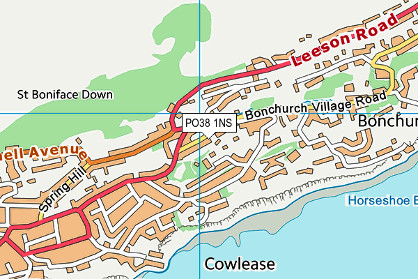 PO38 1NS map - OS VectorMap District (Ordnance Survey) PO38 1NS map - OS VectorMap District (Ordnance Survey)
