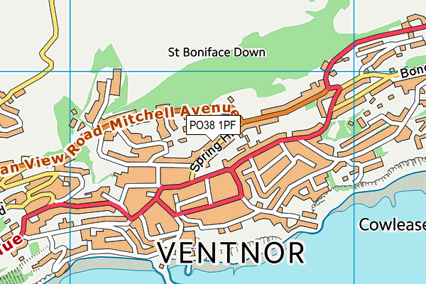PO38 1PF map - OS VectorMap District (Ordnance Survey) PO38 1PF map - OS VectorMap District (Ordnance Survey)