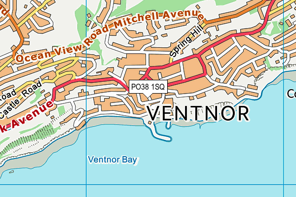 PO38 1SQ map - OS VectorMap District (Ordnance Survey) PO38 1SQ map - OS VectorMap District (Ordnance Survey)