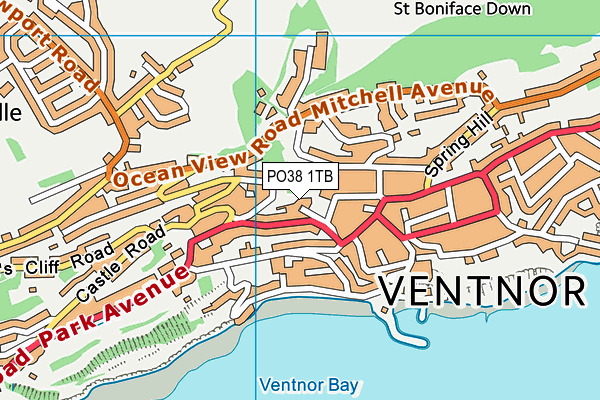 PO38 1TB map - OS VectorMap District (Ordnance Survey) PO38 1TB map - OS VectorMap District (Ordnance Survey)