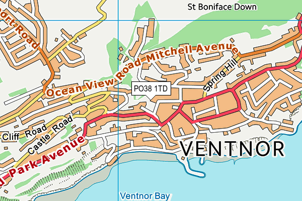 PO38 1TD map - OS VectorMap District (Ordnance Survey) PO38 1TD map - OS VectorMap District (Ordnance Survey)