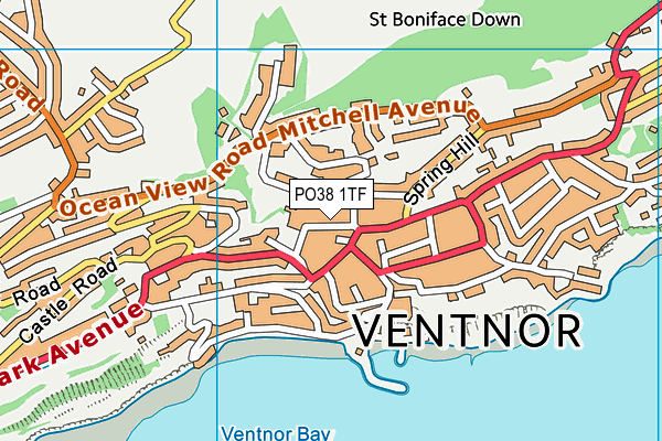 PO38 1TF map - OS VectorMap District (Ordnance Survey) PO38 1TF map - OS VectorMap District (Ordnance Survey)