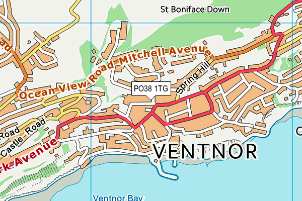 PO38 1TG map - OS VectorMap District (Ordnance Survey) PO38 1TG map - OS VectorMap District (Ordnance Survey)