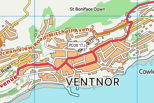 PO38 1TJ map - OS VectorMap District (Ordnance Survey) PO38 1TJ map - OS VectorMap District (Ordnance Survey)