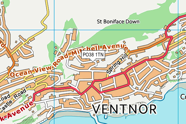 PO38 1TN map - OS VectorMap District (Ordnance Survey) PO38 1TN map - OS VectorMap District (Ordnance Survey)