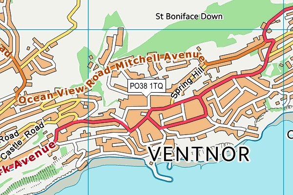 PO38 1TQ map - OS VectorMap District (Ordnance Survey) PO38 1TQ map - OS VectorMap District (Ordnance Survey)