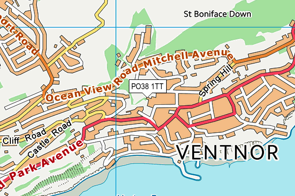 PO38 1TT map - OS VectorMap District (Ordnance Survey) PO38 1TT map - OS VectorMap District (Ordnance Survey)