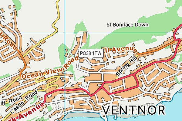 PO38 1TW map - OS VectorMap District (Ordnance Survey) PO38 1TW map - OS VectorMap District (Ordnance Survey)