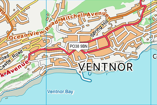 PO38 9BN map - OS VectorMap District (Ordnance Survey) PO38 9BN map - OS VectorMap District (Ordnance Survey)