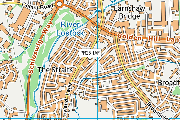PR25 1AF map - OS VectorMap District (Ordnance Survey) PR25 1AF map - OS VectorMap District (Ordnance Survey)