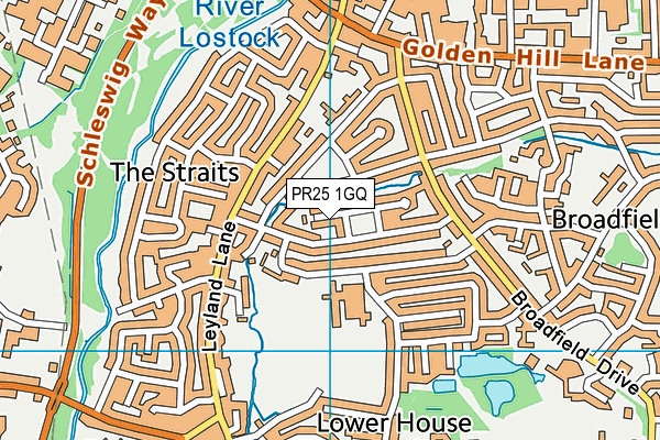 PR25 1GQ map - OS VectorMap District (Ordnance Survey) PR25 1GQ map - OS VectorMap District (Ordnance Survey)