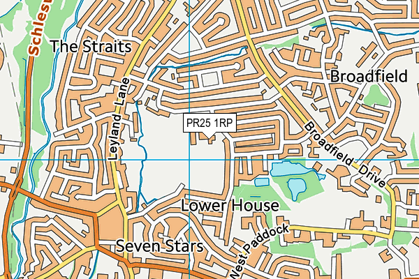 PR25 1RP map - OS VectorMap District (Ordnance Survey) PR25 1RP map - OS VectorMap District (Ordnance Survey)