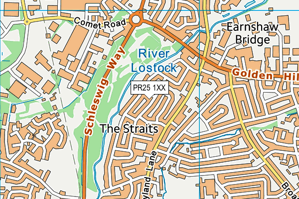 PR25 1XX map - OS VectorMap District (Ordnance Survey) PR25 1XX map - OS VectorMap District (Ordnance Survey)