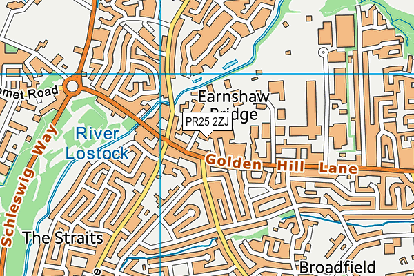 PR25 2ZJ map - OS VectorMap District (Ordnance Survey) PR25 2ZJ map - OS VectorMap District (Ordnance Survey)