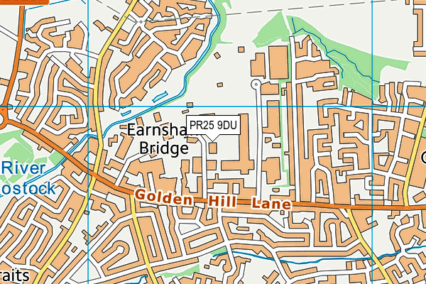 PR25 9DU map - OS VectorMap District (Ordnance Survey) PR25 9DU map - OS VectorMap District (Ordnance Survey)