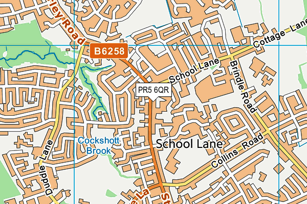 PR5 6QR map - OS VectorMap District (Ordnance Survey) PR5 6QR map - OS VectorMap District (Ordnance Survey)