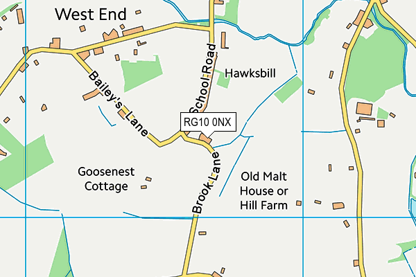 RG10 0NX map - OS VectorMap District (Ordnance Survey)