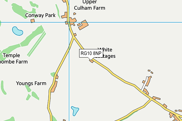 RG10 8NP map - OS VectorMap District (Ordnance Survey)
