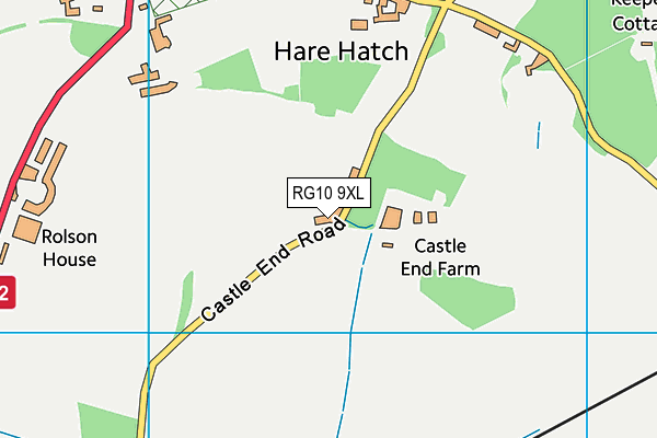 RG10 9XL map - OS VectorMap District (Ordnance Survey) RG10 9XL map - OS VectorMap District (Ordnance Survey)