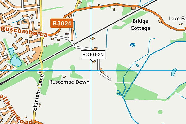 RG10 9XN map - OS VectorMap District (Ordnance Survey) RG10 9XN map - OS VectorMap District (Ordnance Survey)