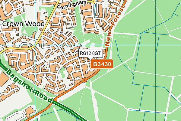 RG12 0GT map - OS VectorMap District (Ordnance Survey) RG12 0GT map - OS VectorMap District (Ordnance Survey)