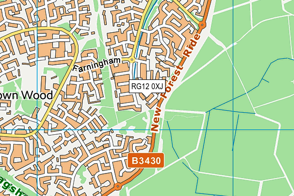 RG12 0XJ map - OS VectorMap District (Ordnance Survey) RG12 0XJ map - OS VectorMap District (Ordnance Survey)