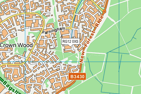 RG12 0XS map - OS VectorMap District (Ordnance Survey) RG12 0XS map - OS VectorMap District (Ordnance Survey)