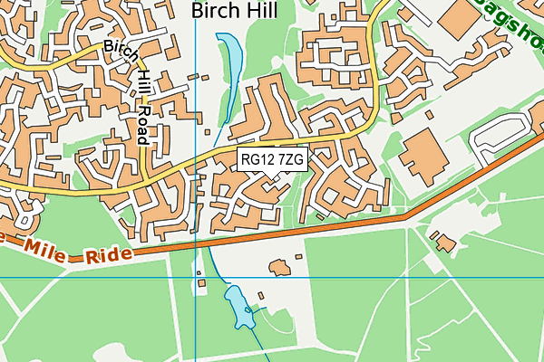 RG12 7ZG map - OS VectorMap District (Ordnance Survey) RG12 7ZG map - OS VectorMap District (Ordnance Survey)