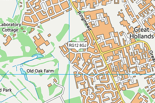 RG12 8GJ map - OS VectorMap District (Ordnance Survey) RG12 8GJ map - OS VectorMap District (Ordnance Survey)