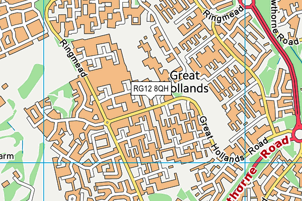RG12 8QH map - OS VectorMap District (Ordnance Survey) RG12 8QH map - OS VectorMap District (Ordnance Survey)
